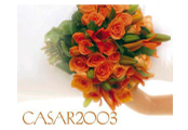 Casar-2003