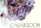 Casar-2009